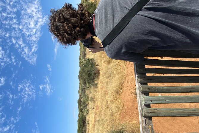Predator Encounter: Half-Day Carnivore Feeding Windhoek - The reserve drive after feeding