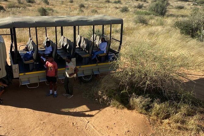 Predator Encounter: Half-Day Carnivore Feeding Windhoek - Meeting Naankuse’s ambassador animals