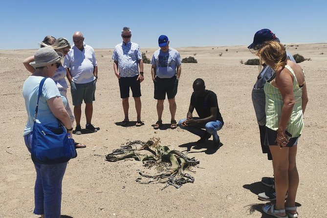 Private Half Day Coast Tour of Walvis Bay and Swakopmund City - Key points at a glance