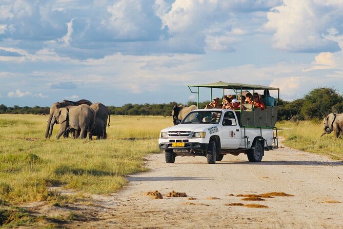 Safari in Etosha national park with professional tour guides born in Etosha. - Food, water, and simple practical details
