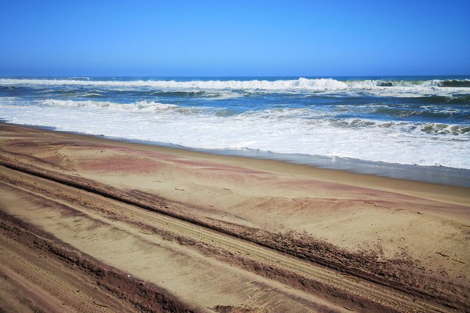 Sandwhich Harbour Dune 4x4 Full Day - What the $173.77 price buys you