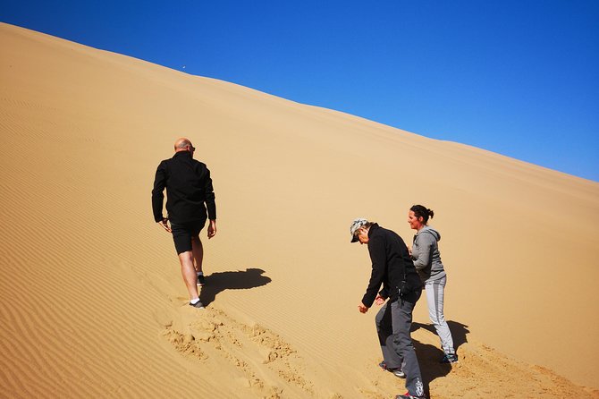 Sandwhich Harbour Dune 4x4 Half day - Group size, pickup, and timing