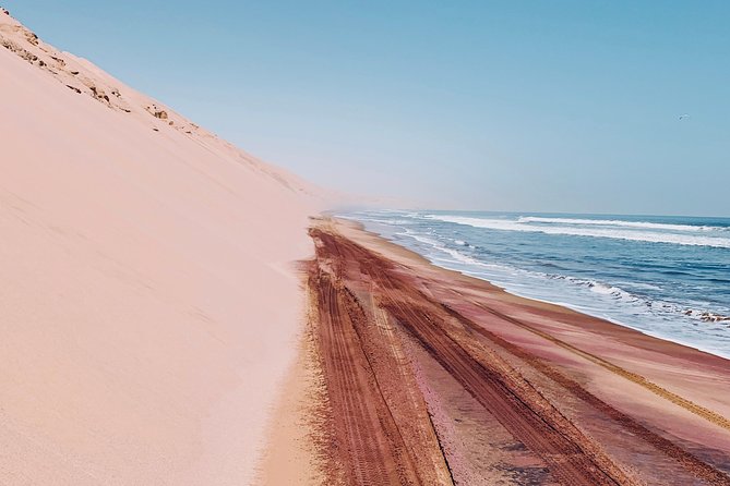 Sandwich Harbour 4x4 Adventure - Salt pans, wetlands, and birds before the dunes