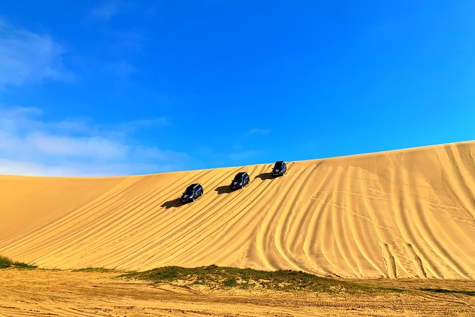 Sandwich Harbour 4x4 Adventure - The guides can shape the whole outing