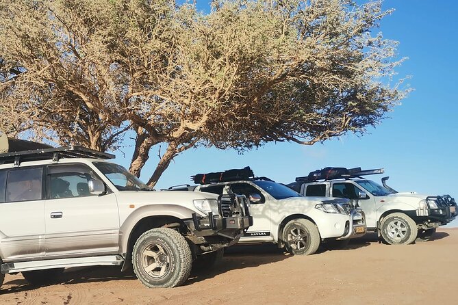 Sandwich Harbour 4X4 Excursion Tour Food and Drinks - Optional sandboarding and the flying dress