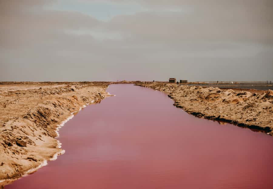 Sandwich Harbour 4x4 Guided Tour - Why Sandwich Harbour is worth your morning