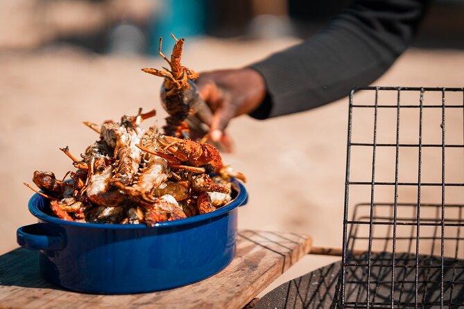 Sandwich Harbour 4x4 Half Day Experience with Beach Braai - Small details that make the day smoother