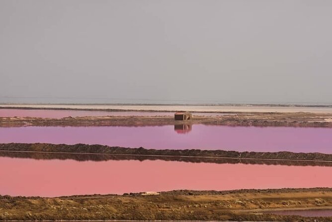 Sandwich Harbour 4x4 Private Guided Tour - Your very own private tour! - Key points to know before you book