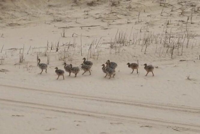 Sandwich Harbour 4x4 Private Guided Tour - Your very own private tour! - Is $289.07 per person good value?