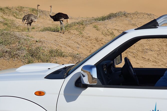 Sandwich Harbour 4x4 Tour - What makes the guiding important