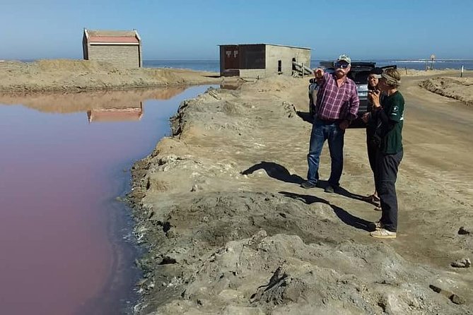 Sandwich Harbour Adventure: Seals and Sandwich harbour dune drive - The 8:30 am pickup and ride toward Walvis Bay