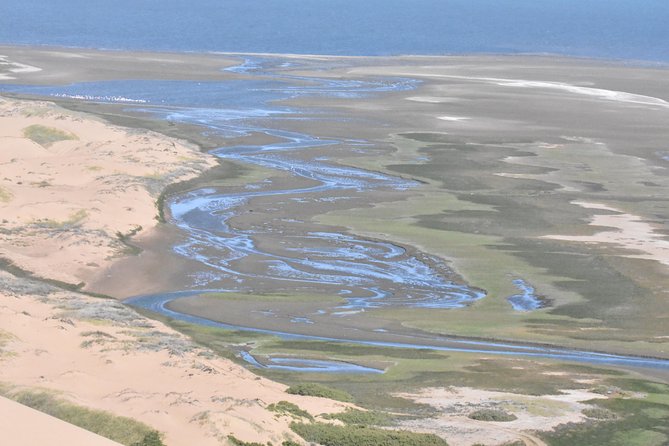 Sandwich Harbour Adventure: Seals and Sandwich harbour dune drive - The long run south to Sandwich Harbour