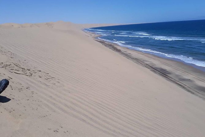 Sandwich harbour and Welwitschia Tour - Why this day is more than a dune ride