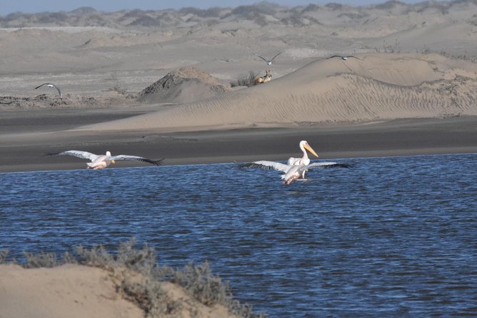 Sandwich harbour and Welwitschia Tour - Moon Landscape and the feel of another planet