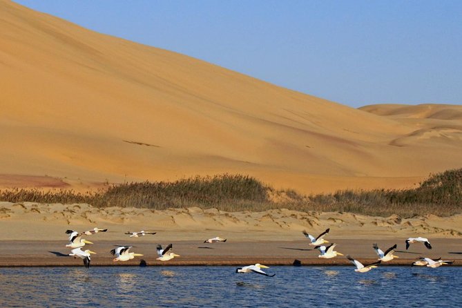 Sandwich Harbour Full Day Excursion - What the $169.13 price gets you