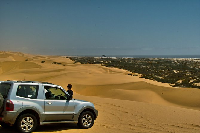 Sandwich Harbour Guided, Self-Drive Tour - Starting from Walvis Bay at 8:30 am