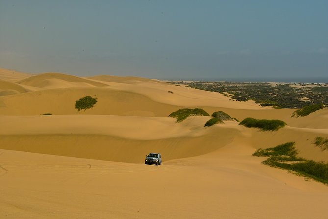 Sandwich Harbour Guided, Self-Drive Tour - What the guide adds to the experience
