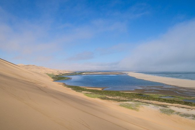 Sandwich Harbour Half Day Excursion - Why the dune driving matters