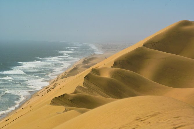 Sandwich Harbour & Pelican Point Full Day Tour - Starting at Walvis Bay’s flamingo waterfront