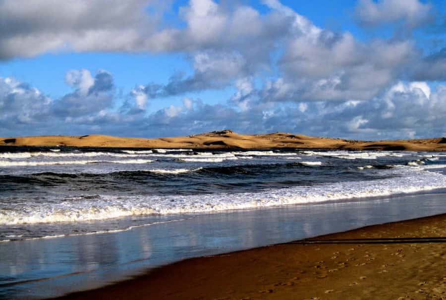 Sandwich harbour r Kayak and dune tour - From Walvis Bay water to the edge of the desert