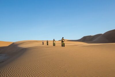 Scenic Desert Tour by Bike