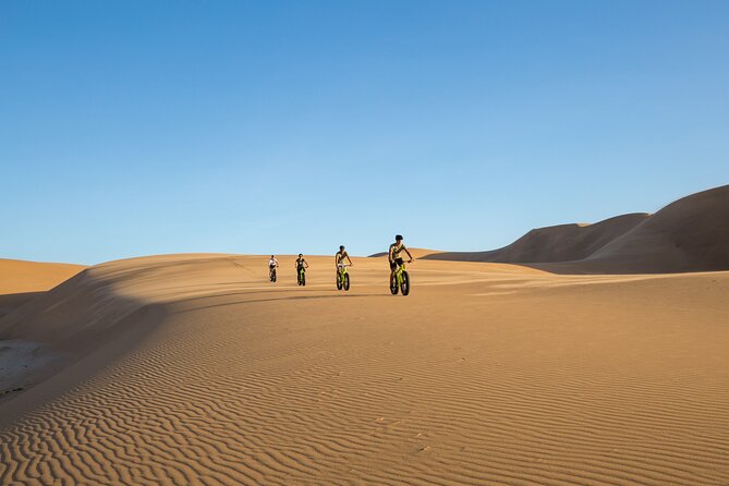 Scenic Desert Tour by Bike - Optional downhill runs, with no pressure to prove yourself