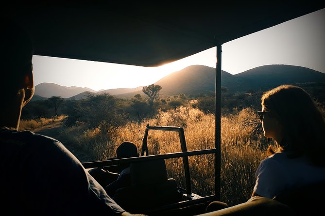 Scenic Game Drive Activity - Key points to know before you book
