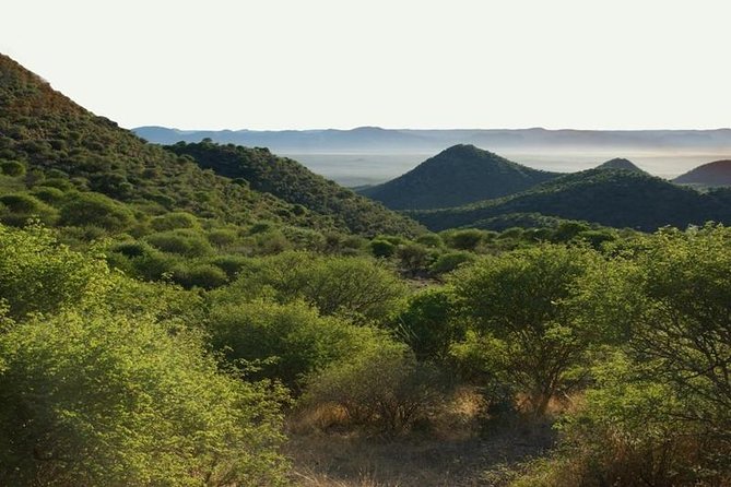 Scenic Game Drive Activity - The farm game drive and its likely sightings