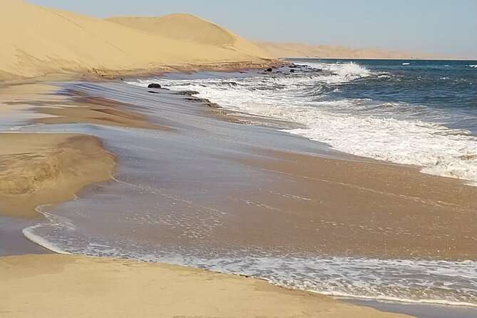 Scenic Sandwich Harbor Half Day tour - Flamingos, salt works, and the Walvis Bay lagoon