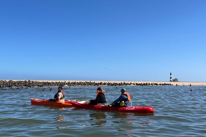 Seal Kayaking at Pelican Point from Swakopmund - Key Points Before You Book