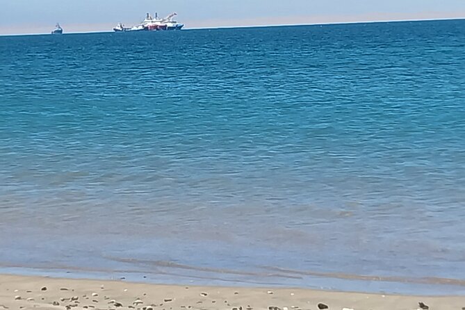 Seal Kayaking at Pelican Point from Swakopmund - Guides, Language, and Group Details