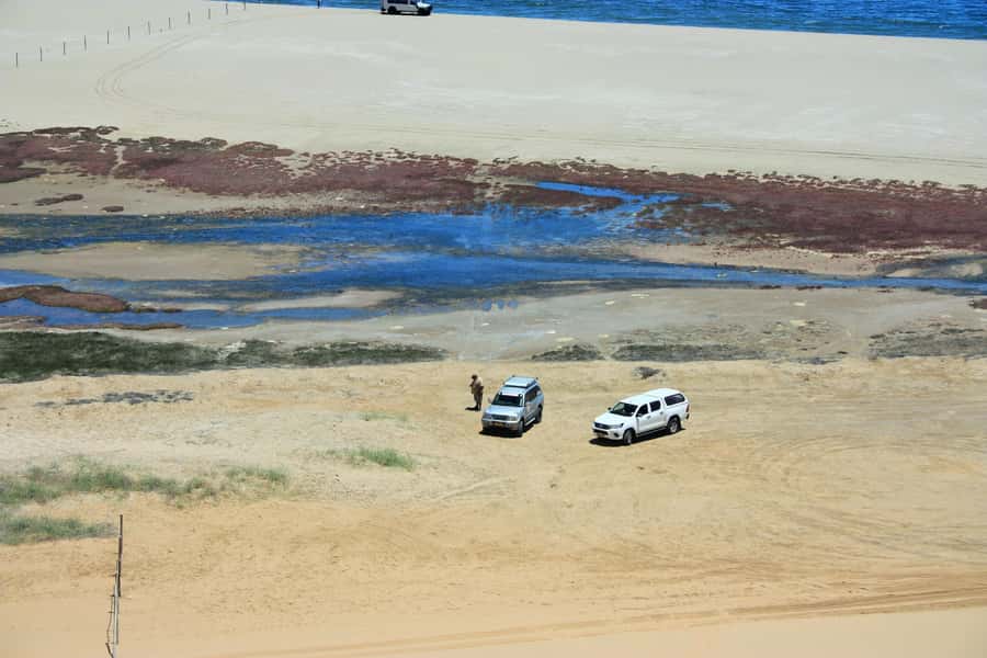 Self-Drive Guided Tour to Sandwich Harbour - Looking for wildlife near the Kuiseb River delta