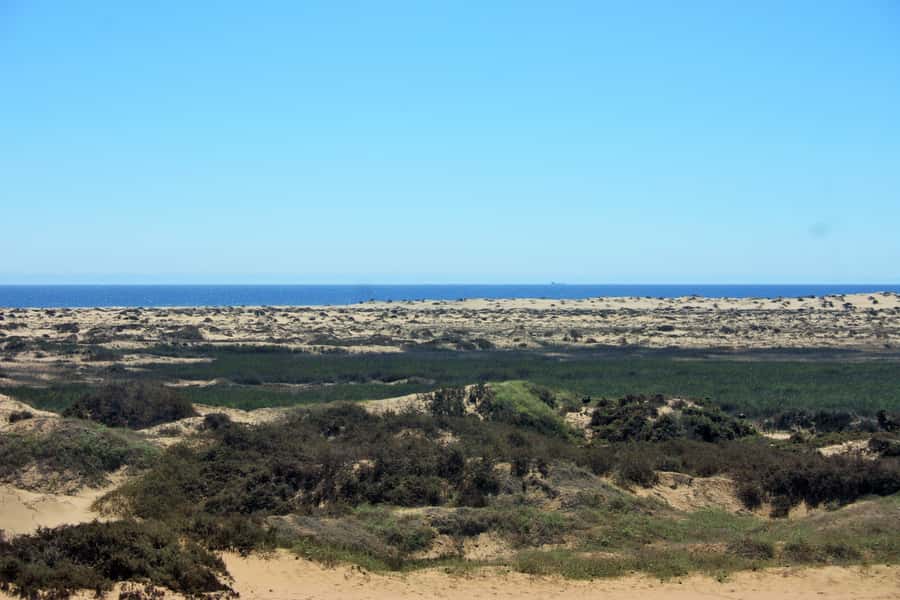 Self-Drive Guided Tour to Sandwich Harbour - Driving across the Namib Desert