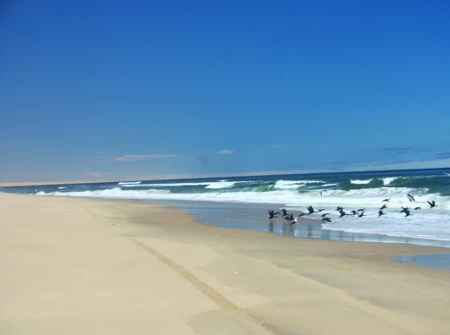 Self-Drive Guided Tour to Sandwich Harbour - Who should book this Sandwich Harbour tour?