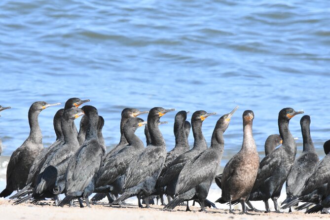 Skeleton Coast Cape Cross Seal colony Tour - The Gallows monument and the coast’s harder stories