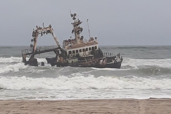 Skeleton Coast Cape Cross Seal colony Tour - What the guides add to the drive