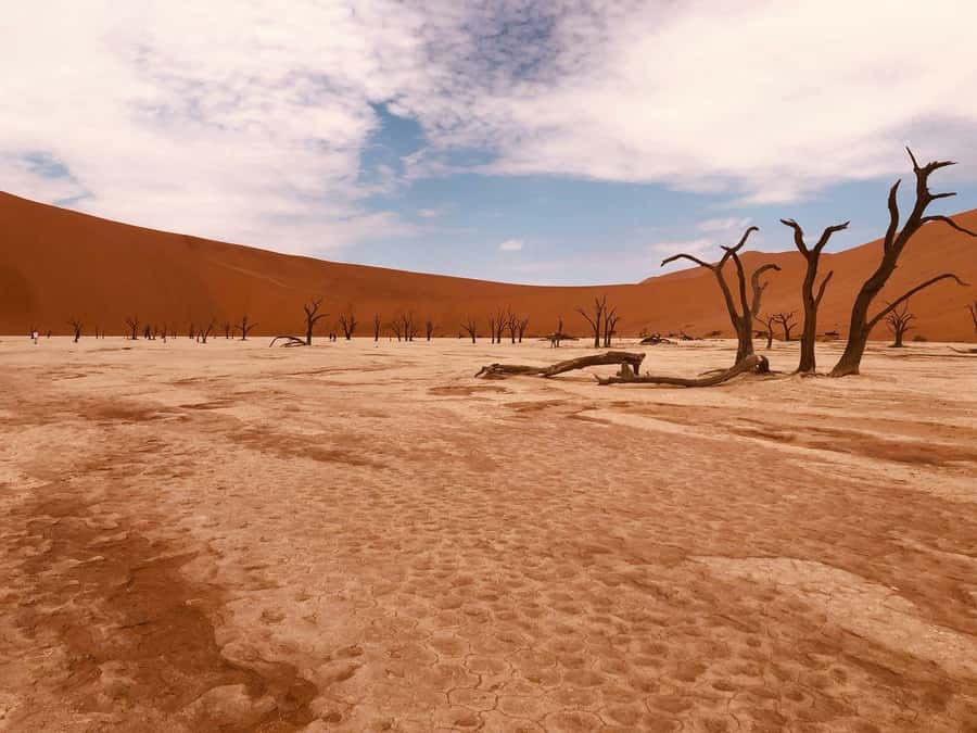 Sossusvlei: Day Trip - Key points to know before booking