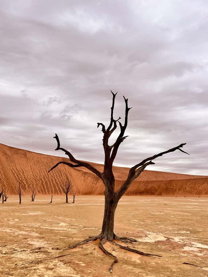 Sossusvlei: Day Trip - Why Sossusvlei is worth such a long day