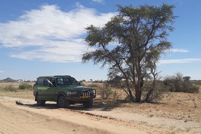 Spitzkoppe Day Tour from Swakopmund - Bushman paintings, engravings, and desert plants