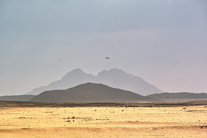 Spitzkoppe Guided Tour from Swakopmund or Walvis Bay - Wlotzkasbaken: a quick look at Namibia’s coast