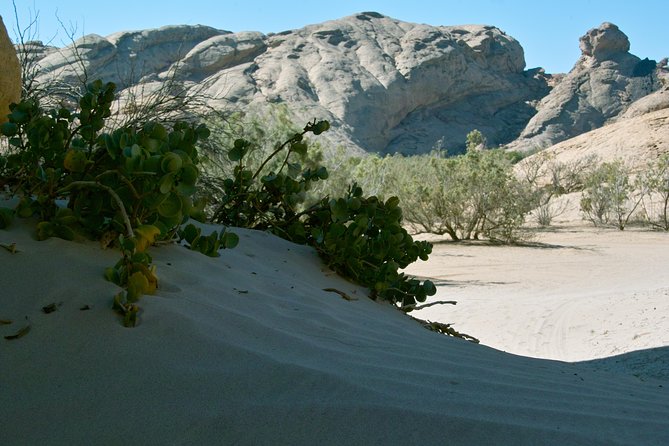 Swakop River Valley & Spitzkoppe Full Day 4x4 tour from Walvis Bay - Two hours in the dry country of Namib-Naukluft Park