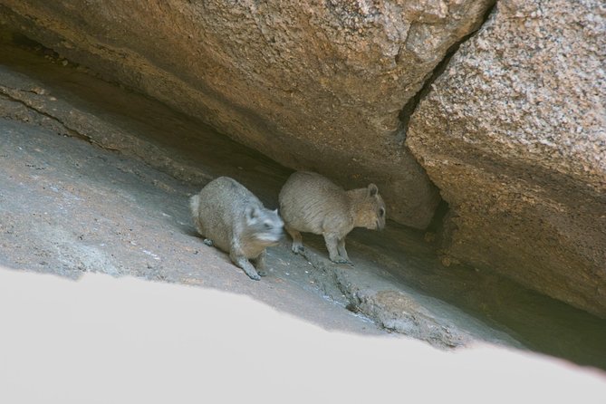 Swakop River Valley & Spitzkoppe Full Day 4x4 tour from Walvis Bay - Following the Swakop River Valley