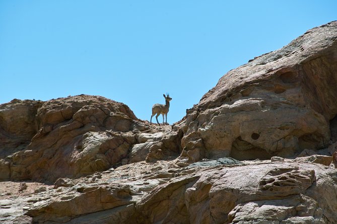 Swakop River Valley & Spitzkoppe Full Day 4x4 tour from Walvis Bay - Dorob National Park and the appeal of open space