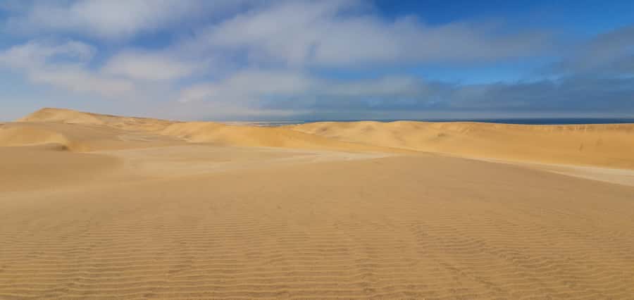 Swakopmund: Desert Dunes Quad Biking with Optional Sandboard - How the guides shape the experience