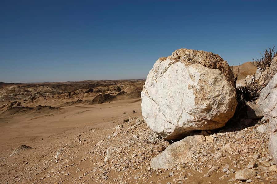 Swakopmund: Moon Valley and Namib Desert Welwitschia Tour - A closer look at the four-hour route