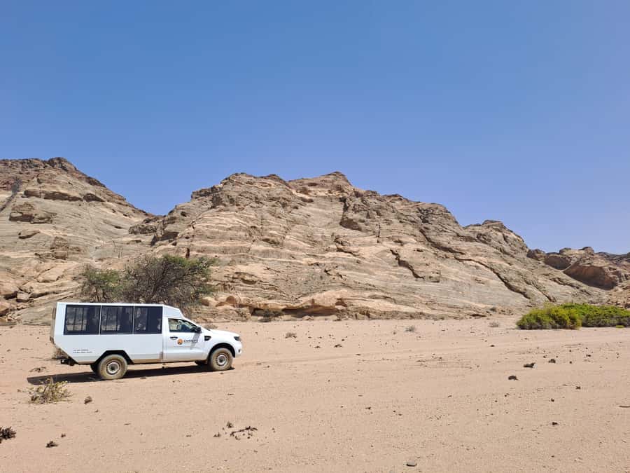 Swakopmund: Moon Valley and Namib Desert Welwitschia Tour - Booking details that affect your plans