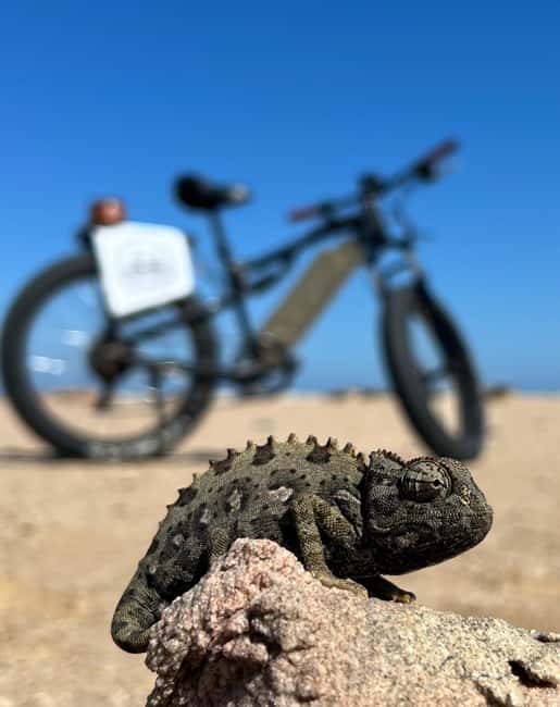 Swakopmund: "UP CLOSE" Living Desert E-FatBike Tour - Why this ride is different from a standard desert outing