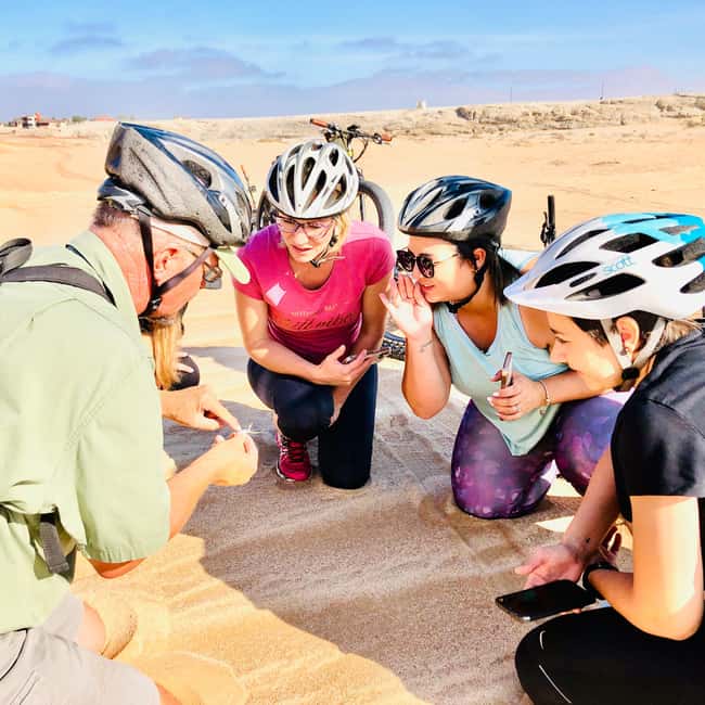 Swakopmund: "UP CLOSE" Living Desert E-FatBike Tour - Reading the gravel plains for signs of life