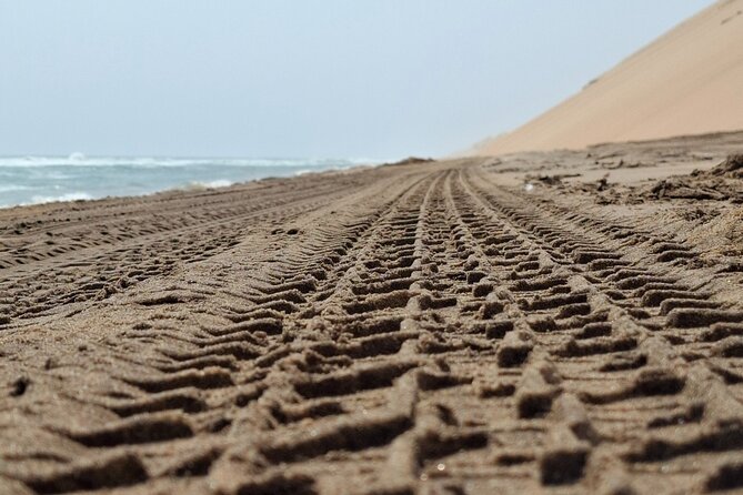 Unforgettable Half Day Adventure, Explore Sandwich Harbour - The guide can make the difference