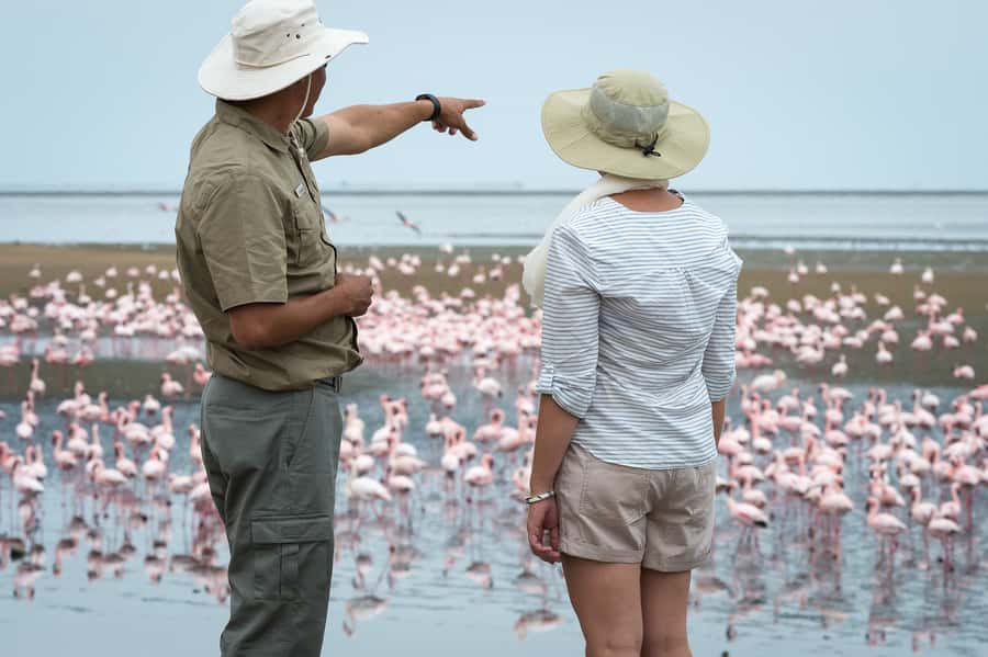 Walvis Bay: 4x4 Desert Excursion to Sandwich Harbour Bay - Salt pans, the Kuiseb Delta, and desert wildlife